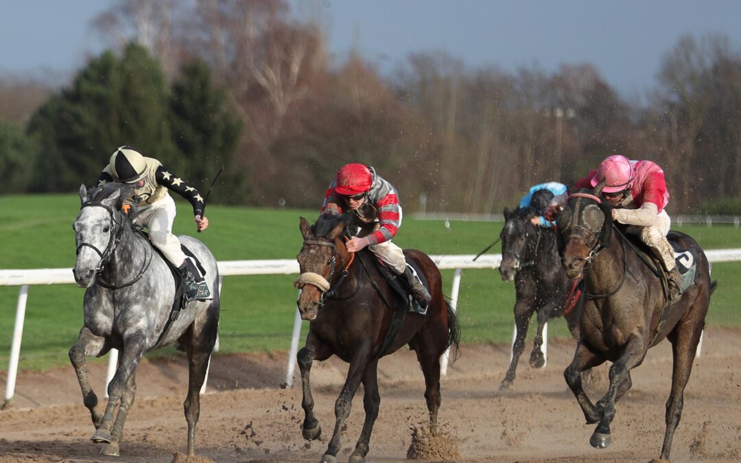 ERSTER SAISON STARTER