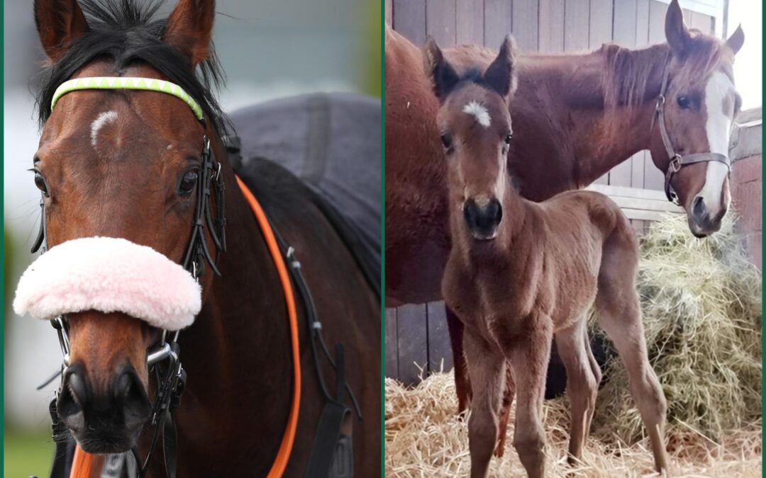 GANZ DER Vater, ODER …….?