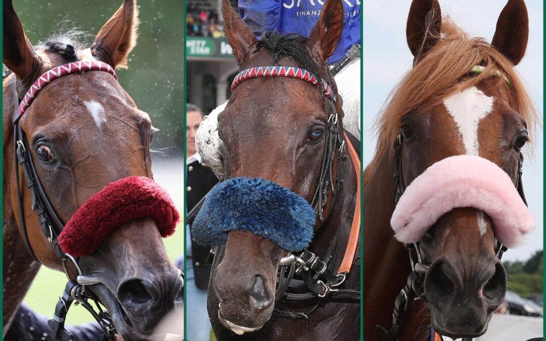 DREI AUF DEM EHRENPLATZ