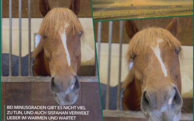 IMPRESSIONEN