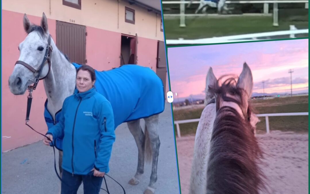 BONJOUR CAGNES SUR MER