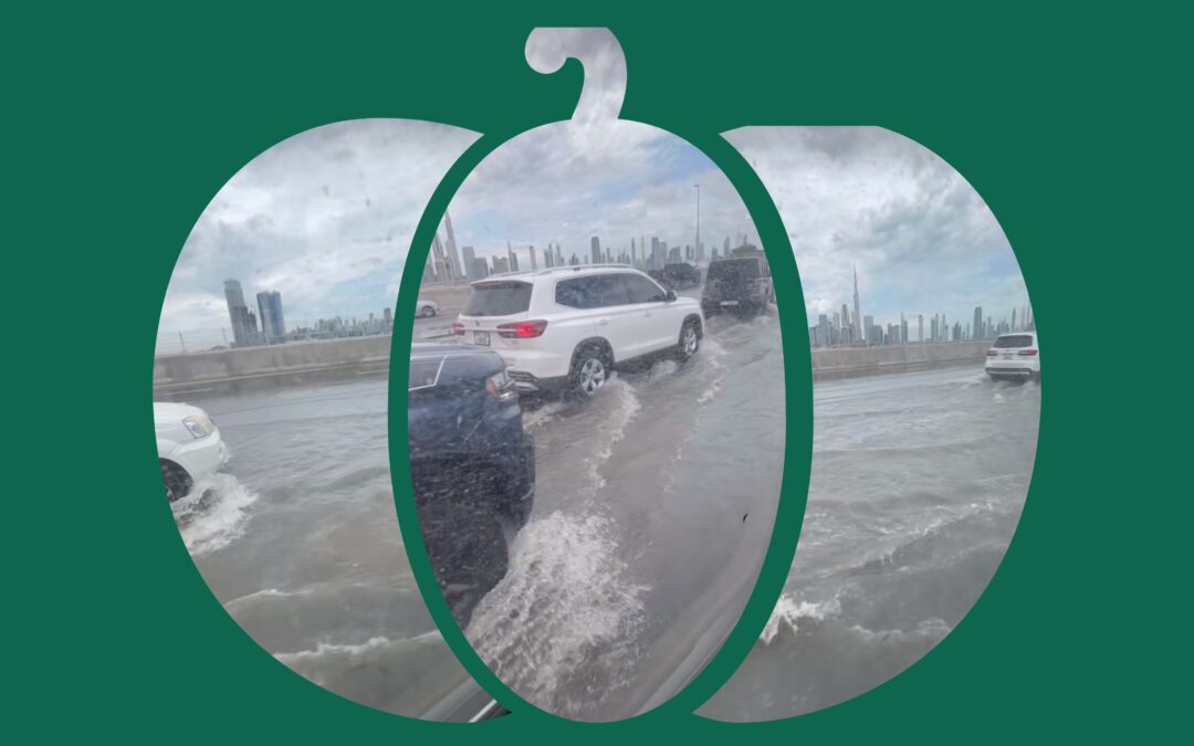 DIE STRASSEN VON DUBAI