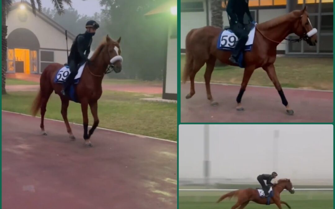 DIE “59” IM MORGENNEBEL