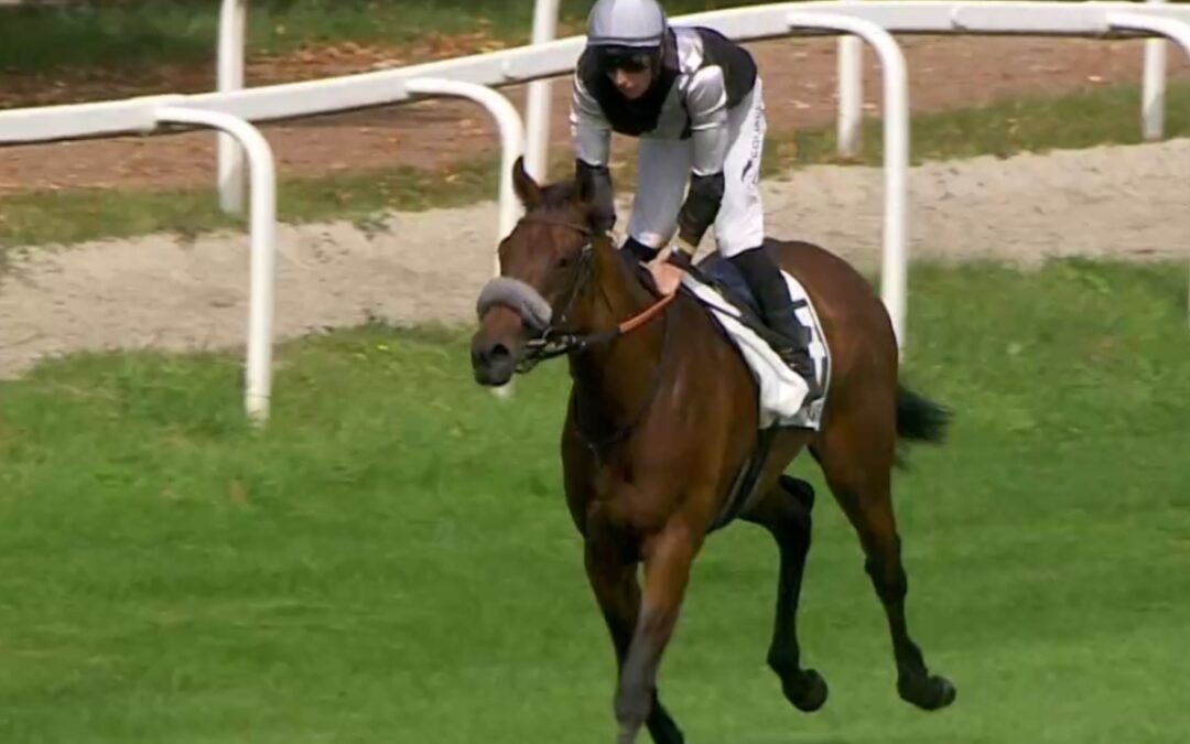 LETZTE FORM KORRIGIEREN