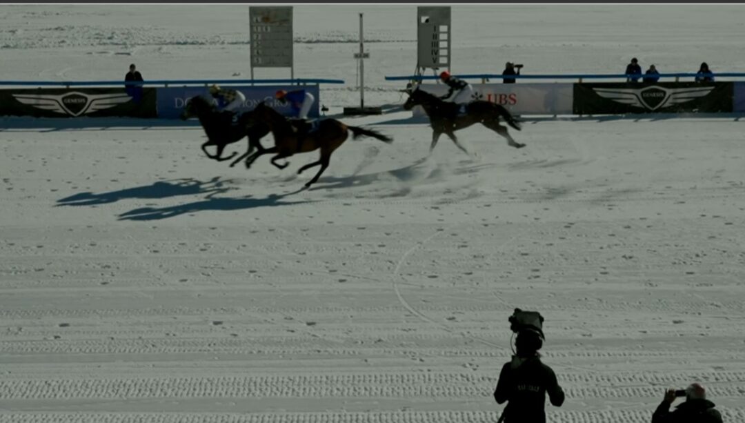 SCHNEE PLATZ FÜR WOLFF