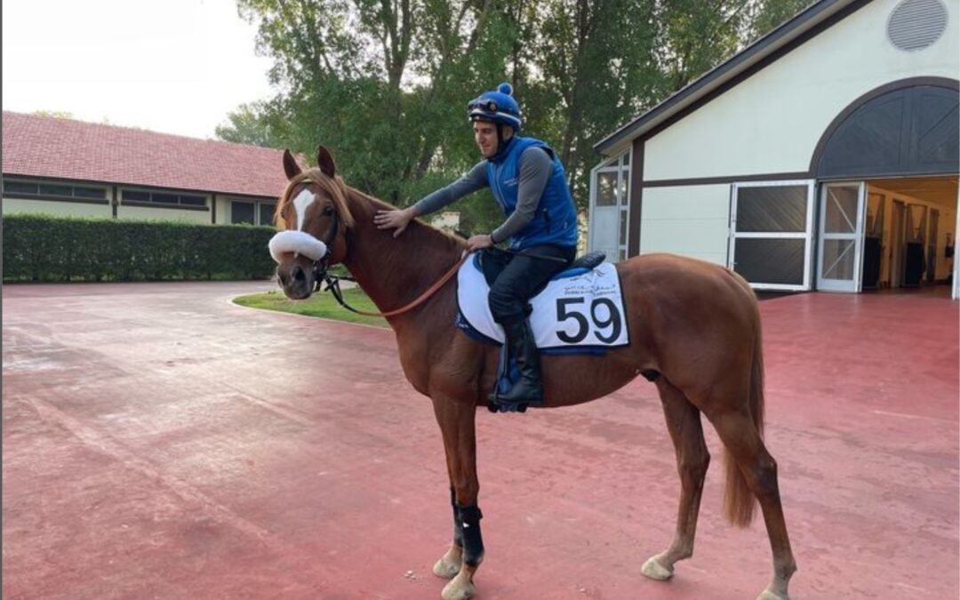 DUBAI – NOCH ACHT TAGE