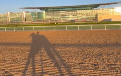 SPIEL IM SCHATTEN
