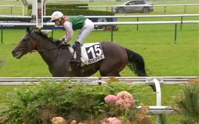 NEUE IN CHANTILLY