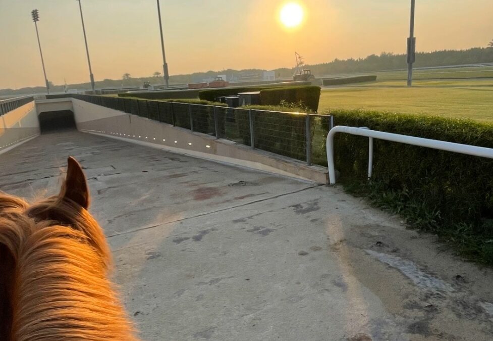 21° UND DIE FRISUR SITZT