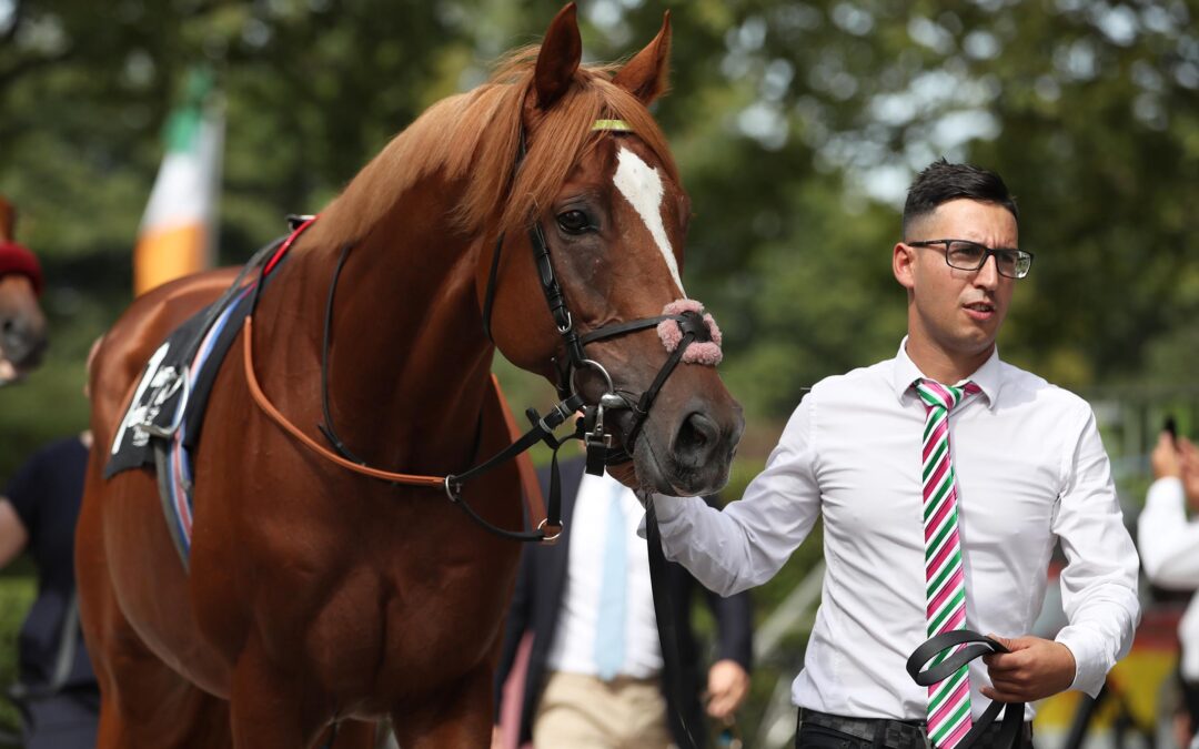 SISFAHAN AUS DER “12”