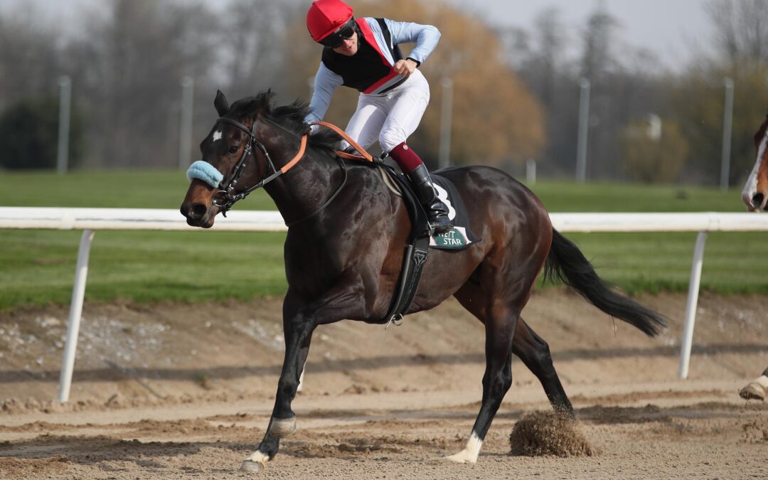 PFLICHT LEICHT ERFÜLLT