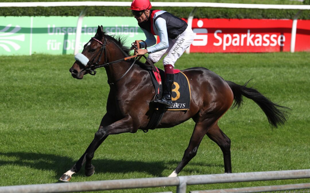 BESSERE ZIELE IM VISIER