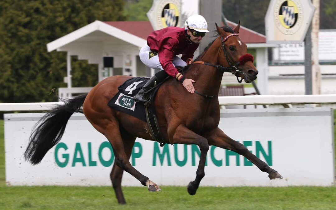 Wahl zum Galopper des Jahres 💙