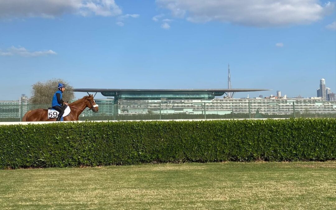 DA KOMMT WAS AUF IHN ZU