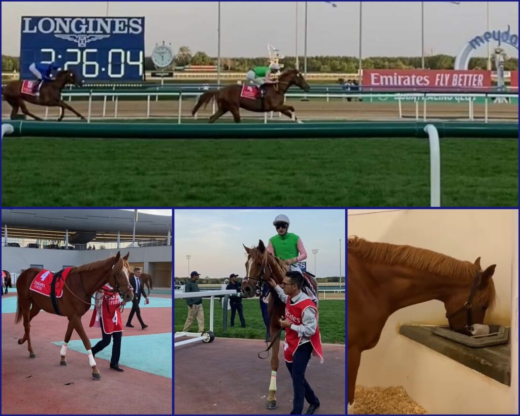 MEYDAN IMPRESSIONEN
