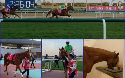 MEYDAN IMPRESSIONEN