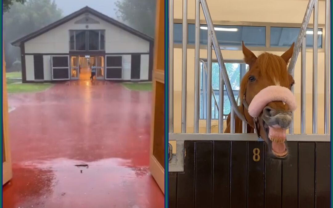 DUBAI – LAND UNTER