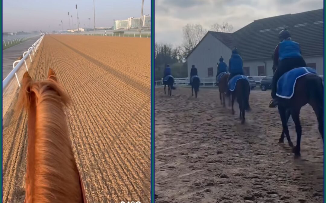 NUR 10 GRAD UNTERSCHIED