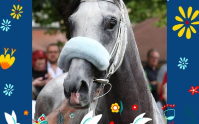 FROHES OSTERFEST