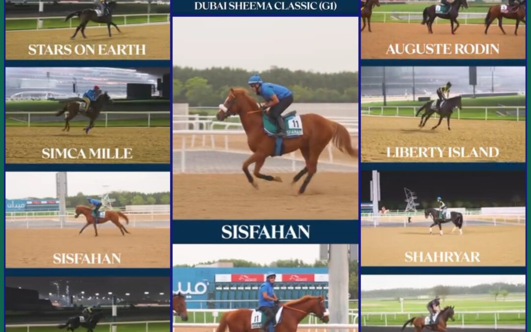 ACHT GRUPPE I SIEGER