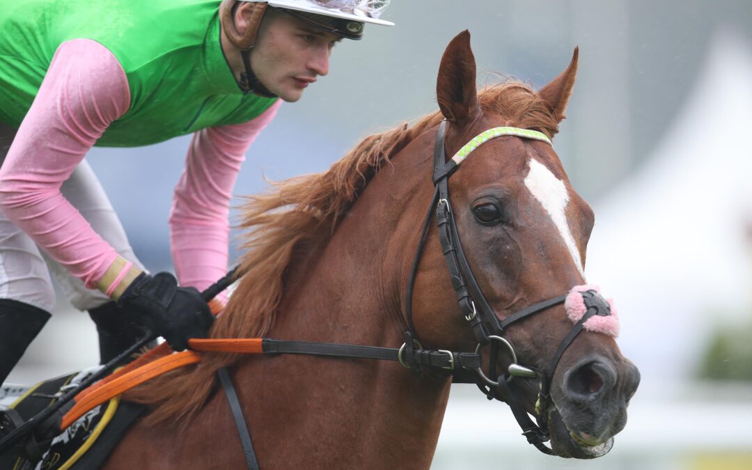 HALS UND BEIN NACH DUBAI