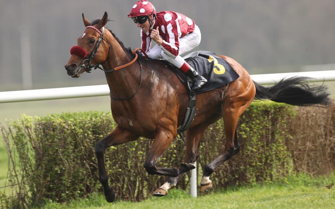 MR HOLLYWOOD START – ZIEL