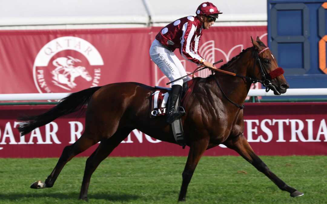 MR HOLLYWOOD IM “CASTING”