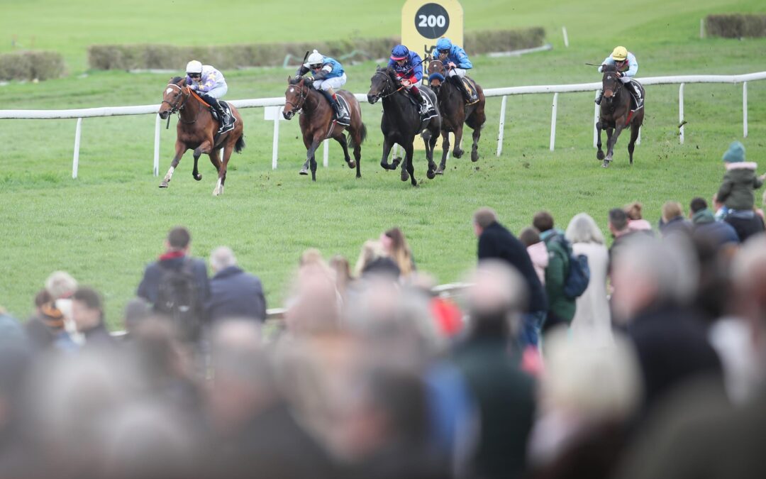 UNTER KEINEM GLÜCKLICHEN STERN
