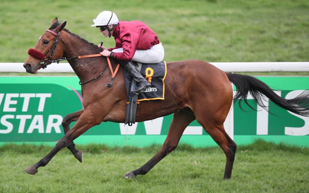 PARIS MON AMOUR GLEICH TOP