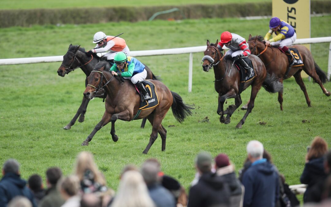 “MISTER” WIE IMMER IM GELD