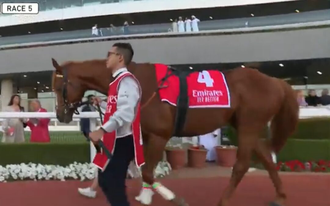 STARKER DRITTER PLATZ