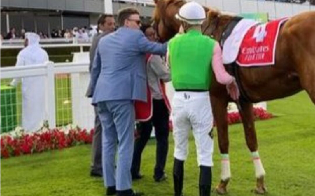 DAS SAGEN DIE BETEILIGTEN