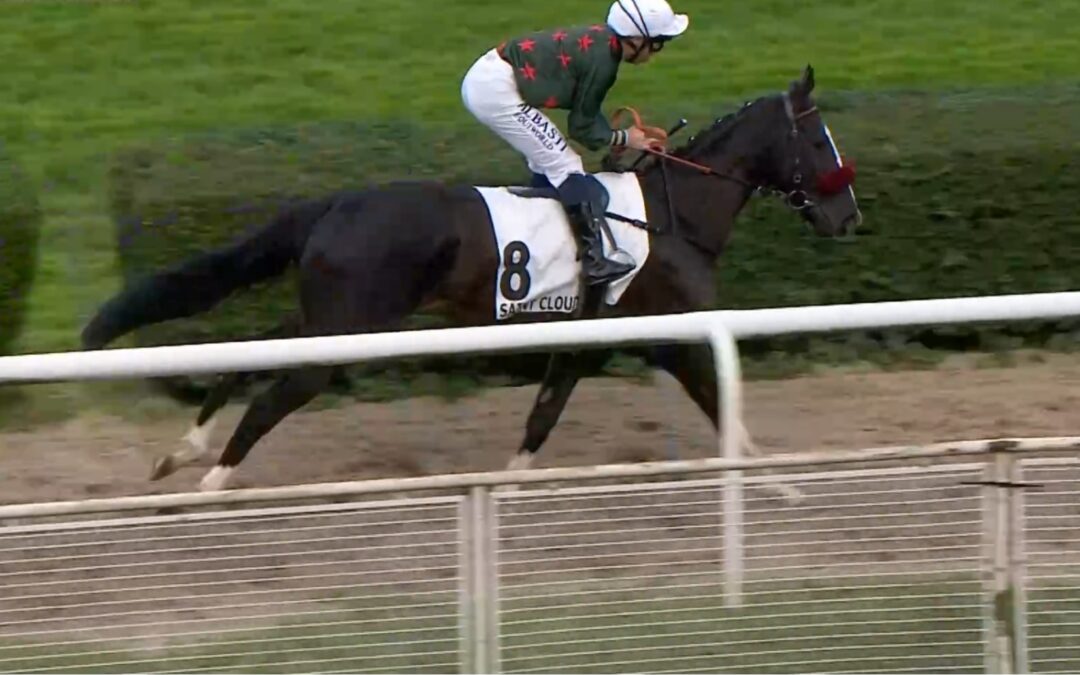 FRÜH NICHT MEHR BEMÜHT