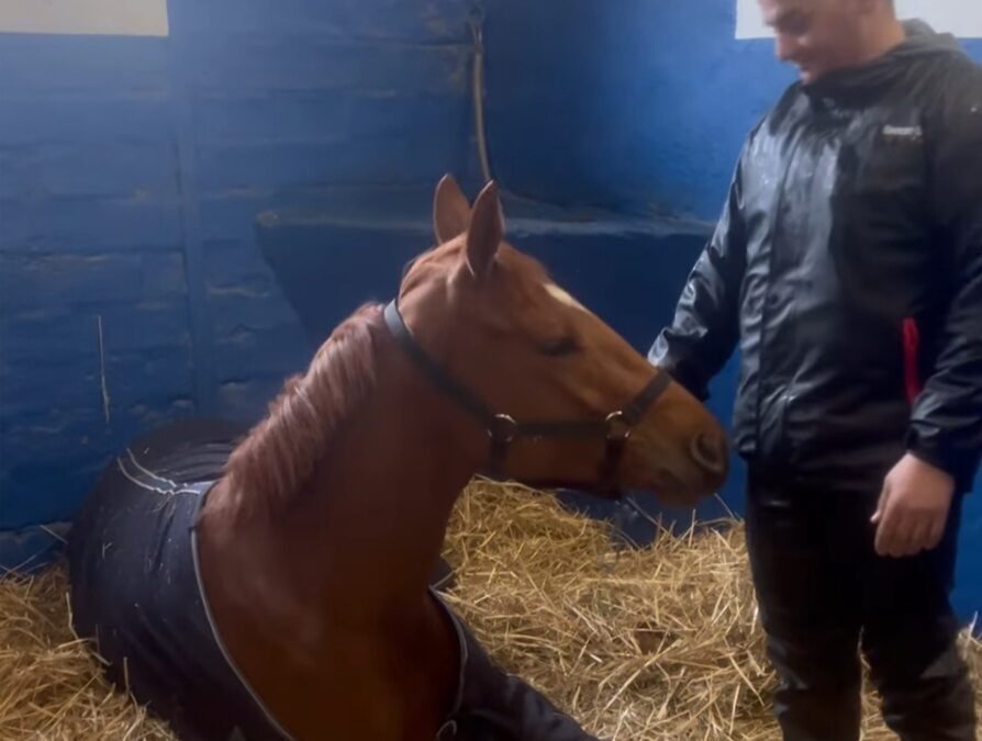 LANGSAM ANGEHEN LASSEN