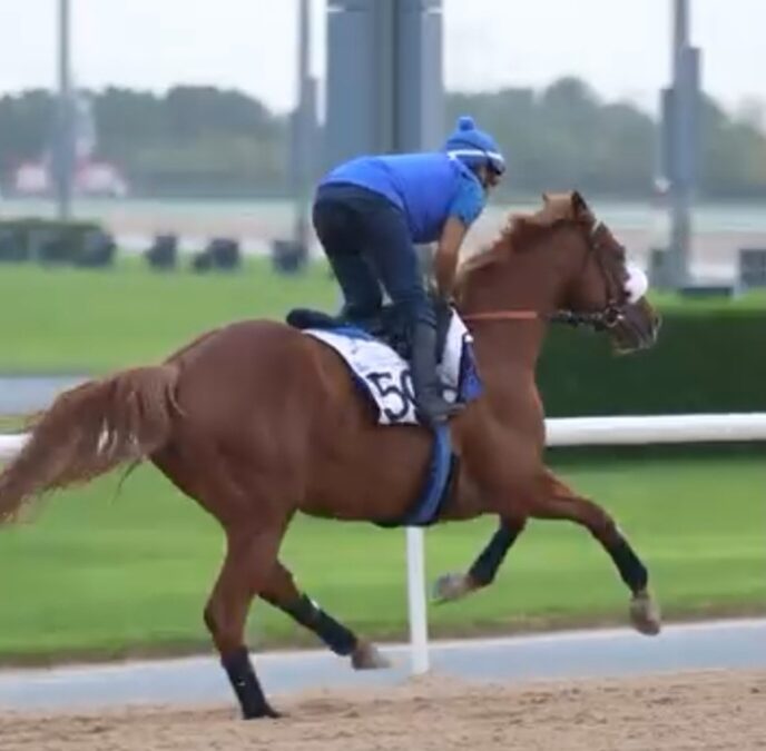 SISFAHAN BEI DER ARBEIT