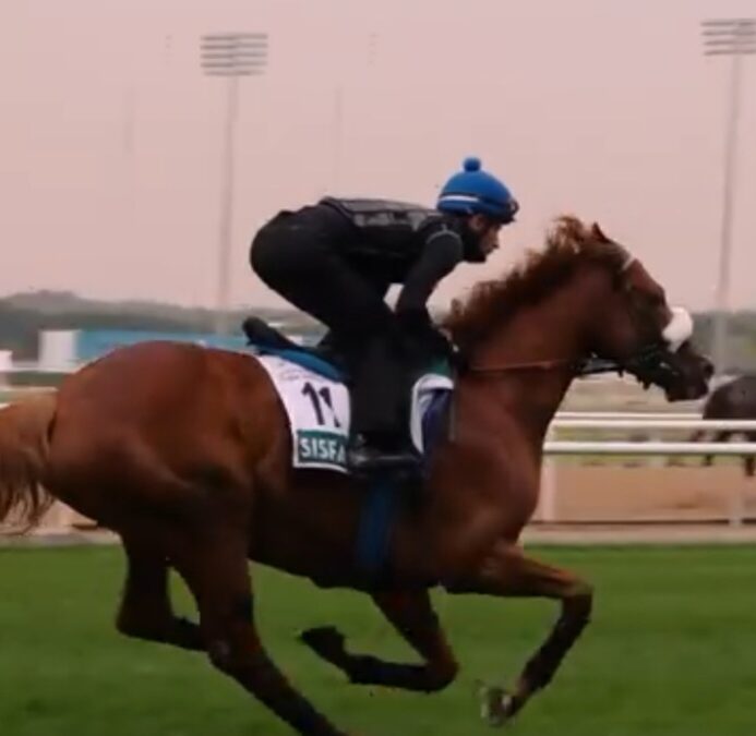 SCHLUßARBEIT IN DUBAi