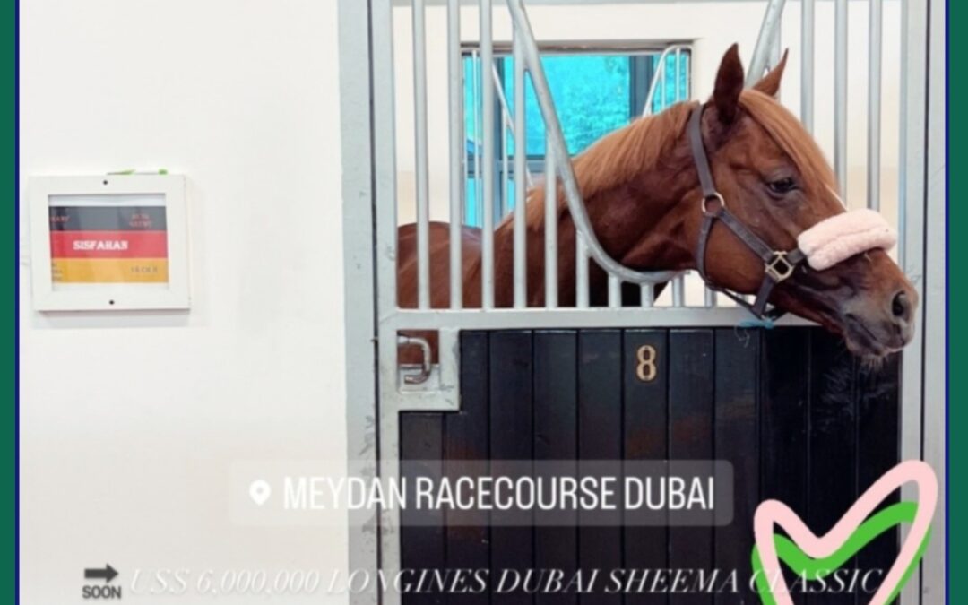 SO “WOHNT” SISFAHAN