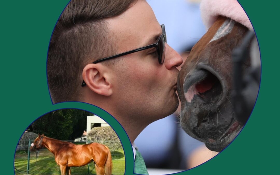 DAS SAGT DER MANAGER