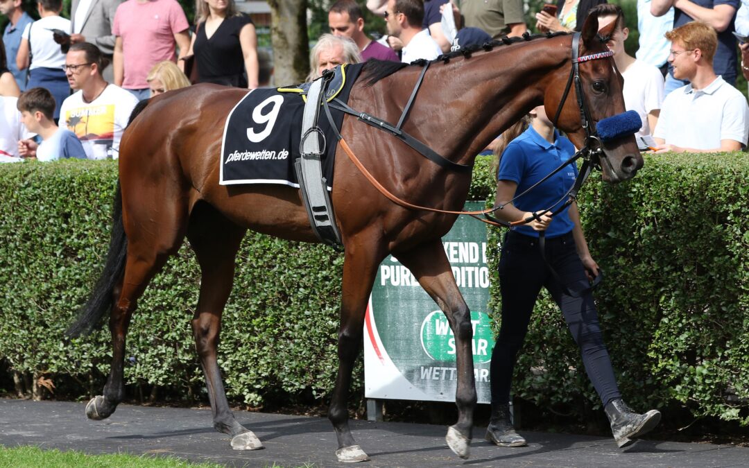WEITER AUF SIEG WARTEN