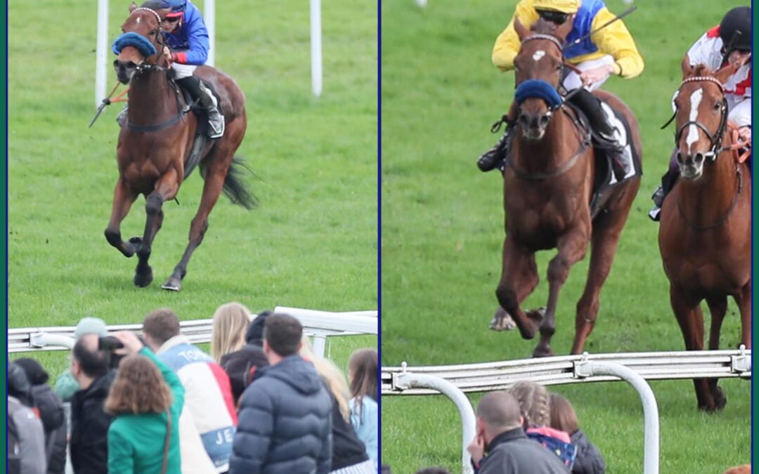 NOCH ZWEIMAL VIERTER