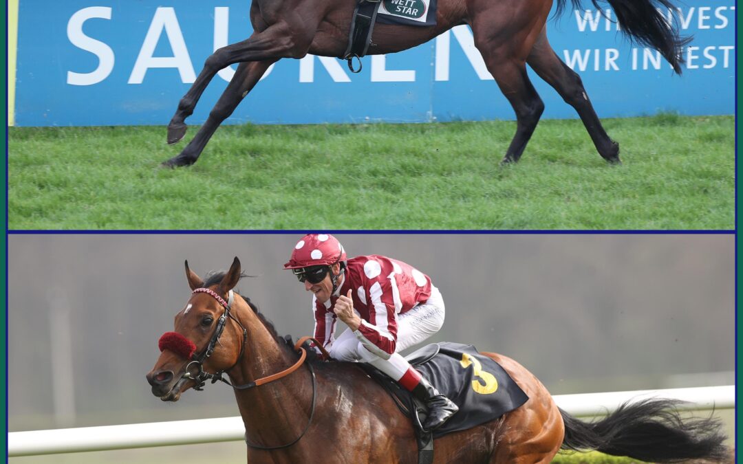 DAS SAGT DER HANDiCAPPER