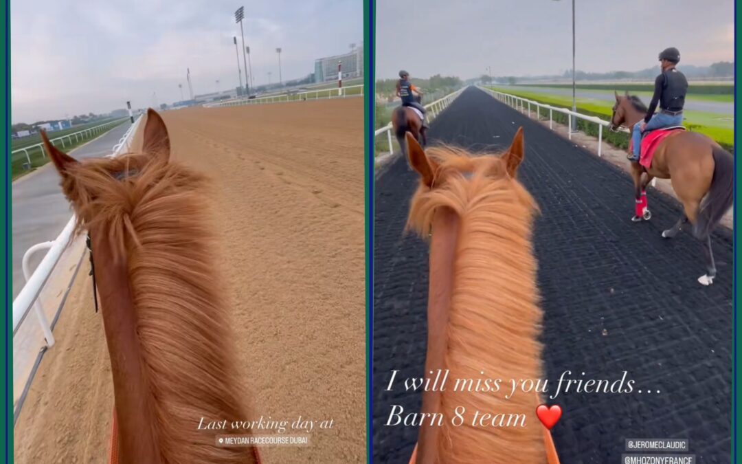 AUF WIEDERSEHEN DUBAI وداعاً دبي