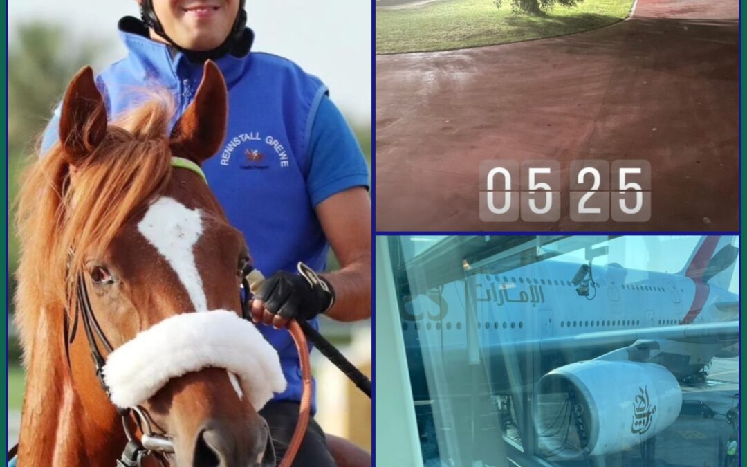 Grazie Fabio per il grande supporto