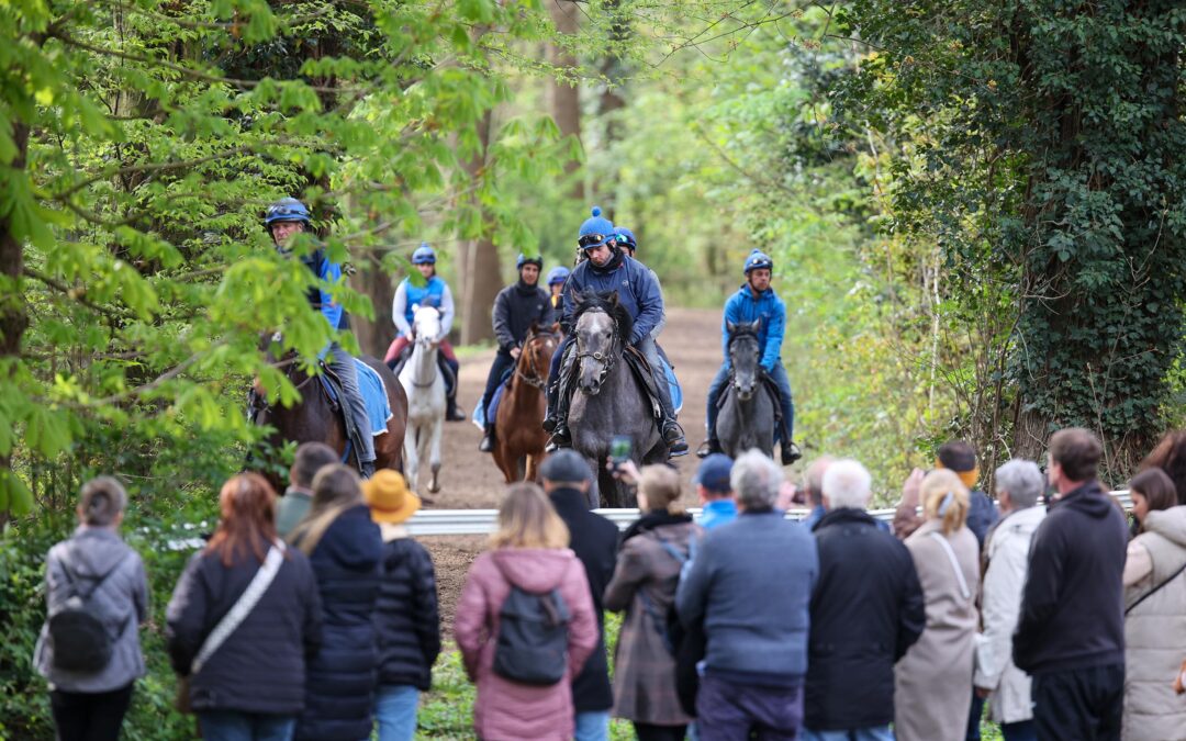 AUCH 2024 EIN ERFOLG