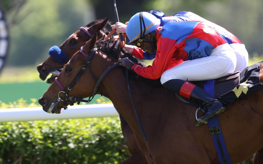 NUR EINE NASE FEHLTE