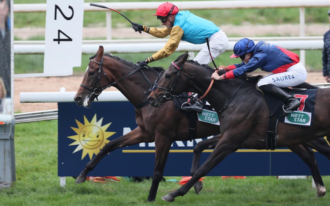 DISTANZ ETWAS ZU KURZ