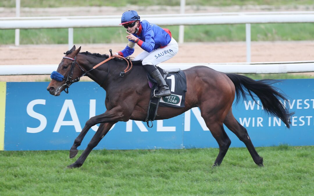 ASSISTENT DER HERR IM HAUS