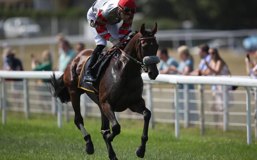 AN ALTE ERFOLGSSTÄTTE