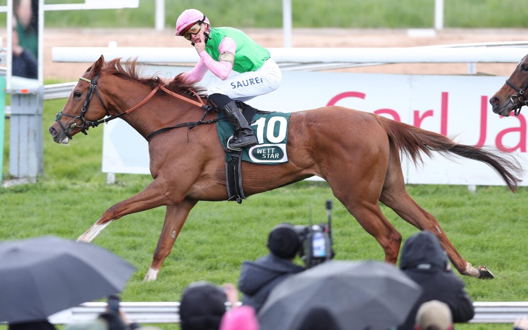 TROTZ STOP EINDRUCKSVOLL