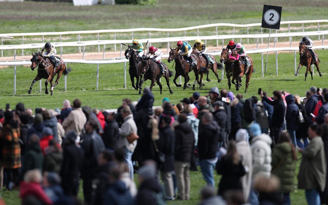 VIERTE BEI GRUPPE DEBUT